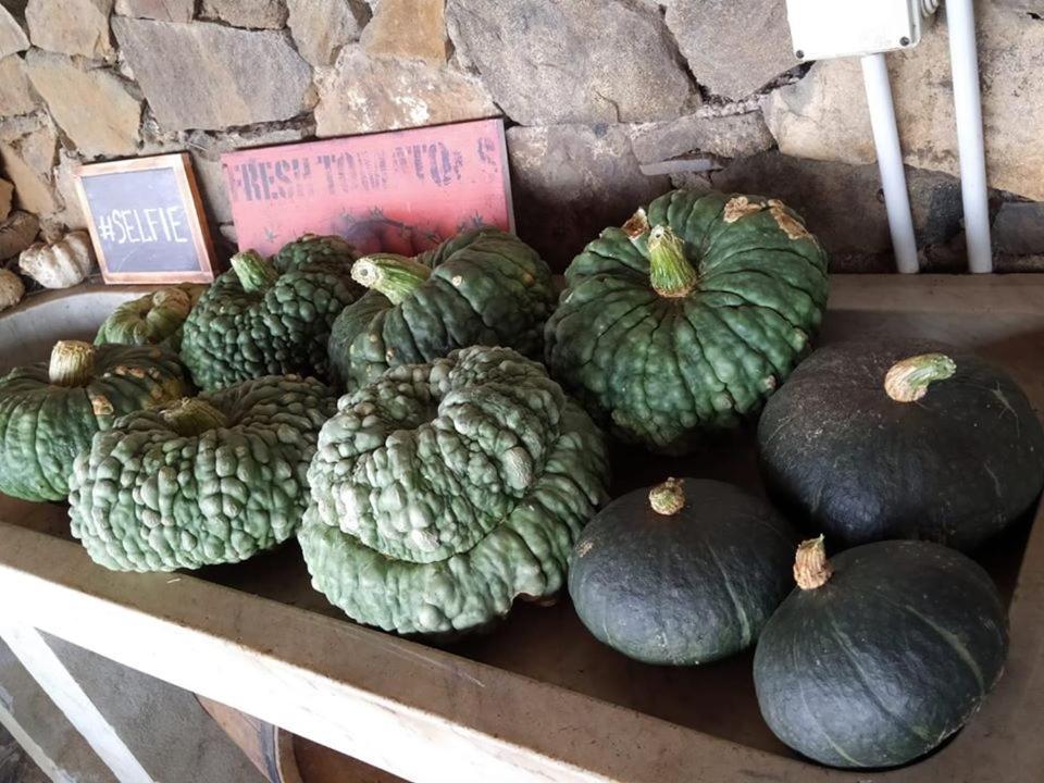 제노바 Agriturismo Fattoria Montecontessa 빌라 외부 사진