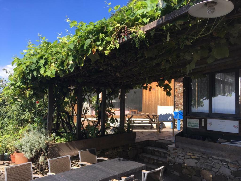 제노바 Agriturismo Fattoria Montecontessa 빌라 외부 사진